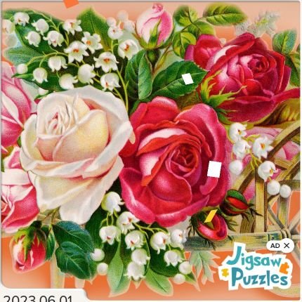 yi_xia81828's profile picture. 