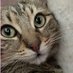 Tommy loves Tilly ๐ป๐ (@strawberrryblud) Twitter profile photo Tommy loves Tilly ๐ป๐ (@strawberrryblud) Twitter profile photo
