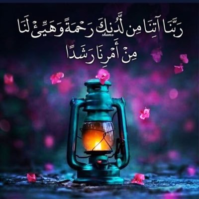 Mostafa78447408's profile picture.