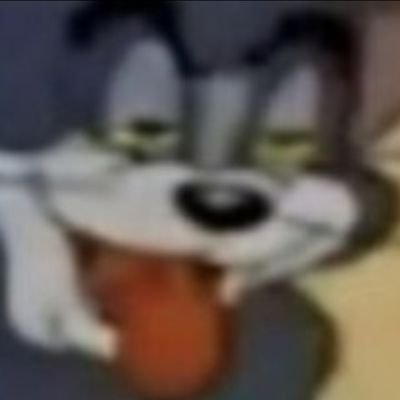 melzinkjq's profile picture. 