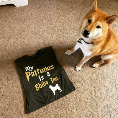 #my patronus is shiba inu