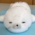 Kiyo˳˳ (@9one100) Twitter profile photo Kiyo˳˳ (@9one100) Twitter profile photo