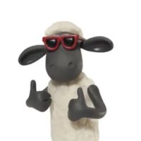 dykey damelio (@coolfunsmart) 's Twitter Profile