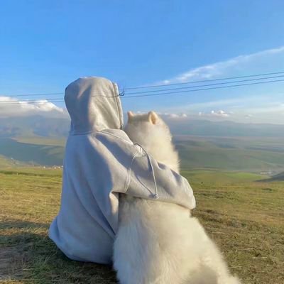 Elliewang2001's profile picture. 