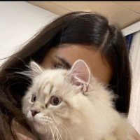 4.30 (@ipr4l) 's Twitter Profile