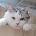 ma y (@may778302061877) Twitter profile photo ma y (@may778302061877) Twitter profile photo