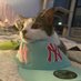 juan ʅ(◞‿◟)ʃ (@gattacajant) Twitter profile photo juan ʅ(◞‿◟)ʃ (@gattacajant) Twitter profile photo