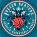 Buzzer Beaters (@A_Hornets_Pod) Twitter profile photo