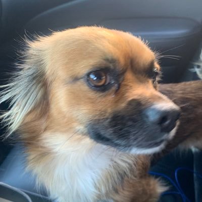 speakwithx's profile picture. just here to learn