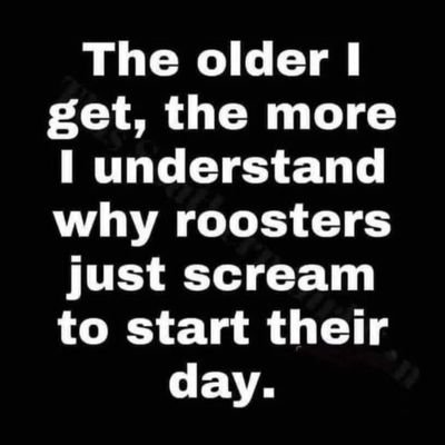 NatnaelDemeke2's profile picture. 