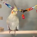 Delaney Ferguson - @DelaneyFer98077 - Twitter