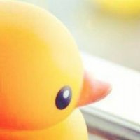 しんすく(け) さん。 (@snsk) 's Twitter Profile