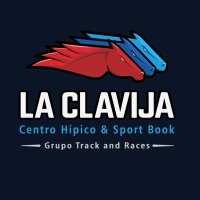 @Laclavijahipica(@laclavijahipica) 's Twitter Profile Photo