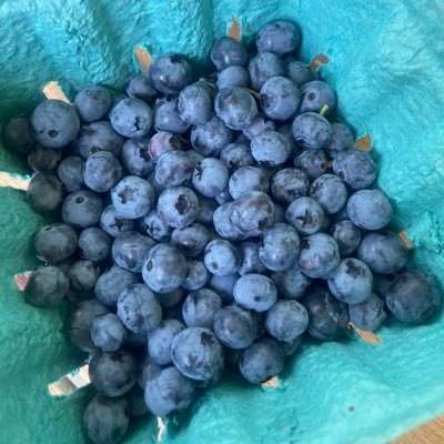 goinggoinggalt's profile picture. outsider on the inside. truth seeker. retweets not an endorsement.