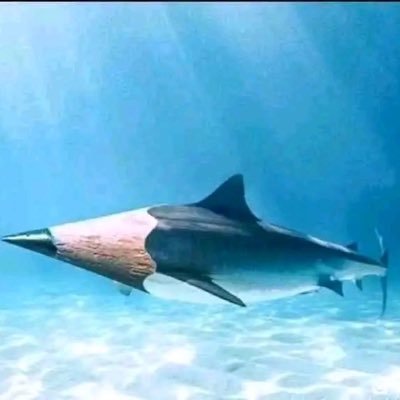 lumingjing54962's profile picture. 