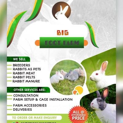 BIG FOOT FARM (Rabbits & More)