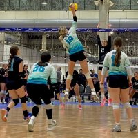 Lily Vandiver (@lilyvandiver12) 's Twitter Profile