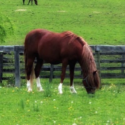 padd0ckz's profile picture. see U on Top