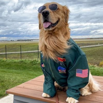 👉 Welcome to @GoldenLoversFan
🐕 We share daily #goldenretriever Contents 
👇visit store👇