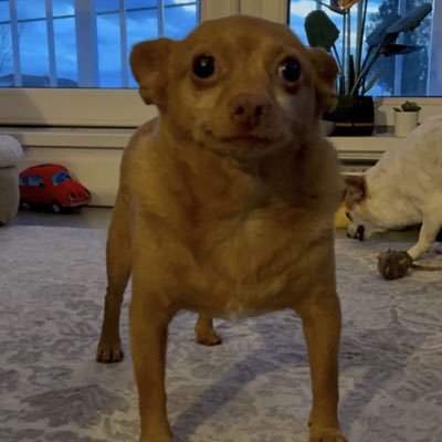 stinkyfromtinky Profile Picture