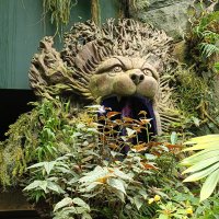 Sal (@citysalamander) Twitter profile photo