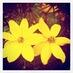Phil FitzPatrick (@paf1938) Twitter profile photo