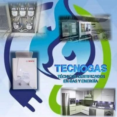 TecnoGasBioener Profile Picture