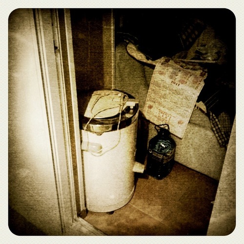 vivalacoja's profile picture. AAA+