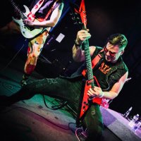 Timothy David(@ShreditorTim) 's Twitter Profile Photo