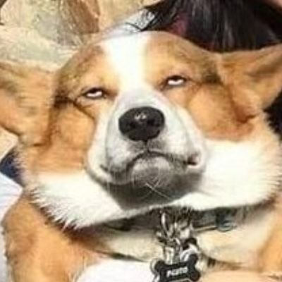 HeppokonoSub's profile picture. 39♂。ご飯、雑談、ガンプラ、ソシャゲ、映画、愚痴などなど。絡み大歓迎！どしどしщ(゜▽゜щ)