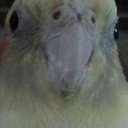 Terry Healey - @HealeyTerry - Twitter