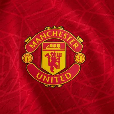 Massive sports fan ⚽️🏏🎾 Manchester United is life. still deciding on a good profile pic 🤔