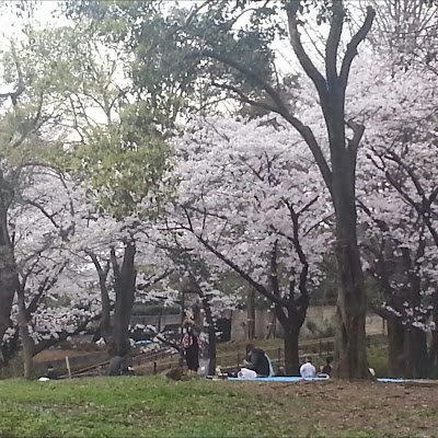 lL13EJ0Y9J70451's profile picture. 