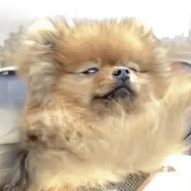 Sombraios's profile picture. ✧Fui abençoado com ótimos amigos.✧ Pedro ♂️ | 6'4 | Gremista | 24 Years | INFJ-T | Desenvolvedor Java BPM | Especialista em Desenvolvimento e Integração @gremio