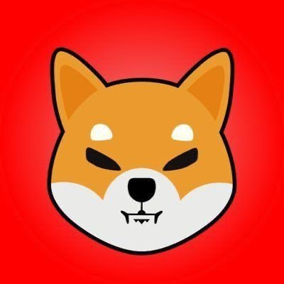 RINFTTOP_9094's profile picture. 