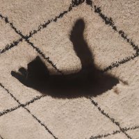 DearTank (@0lfights) 's Twitter Profile
