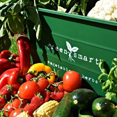 GreenSmart is a self-watering pot manufactured in food grade plastics providing a hassle-free growing system 🌱