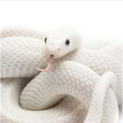 iMRUPxYuA7JdwRv's profile picture. 愚痴多め。親子関係に悩んでいます。共依存から抜け出したい。感情の起伏激しい。生理前特に殺人鬼マインドになります。神経発達症(発達障害)とくにADHDについても。