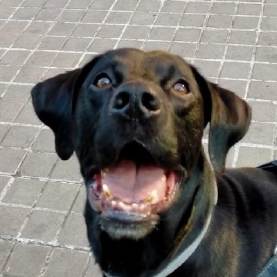 EstherDani76755's profile picture. sant Feliu de Llobregat