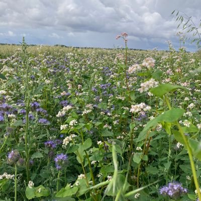 Arable farmer in the flatlands of Lancashire. Special interest in future of peat as well as singing, cycling and walking. All views my own.