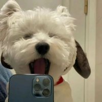 南昌xox (@xox691358250) Twitter profile photo