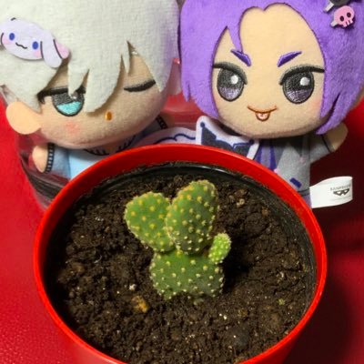 ティナイさんのプロフィール画像
