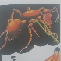 Kırmızı Sakallı Topal Karınca(@krmzkrnca) 's Twitter Profile Photo