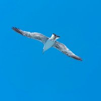 Ömrüm (@mrhasret165641) 's Twitter Profile