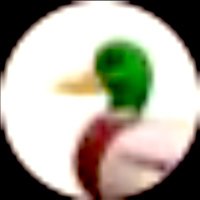 鴨鴨_東4し64 (@sexy_onnaspy) 's Twitter Profile
