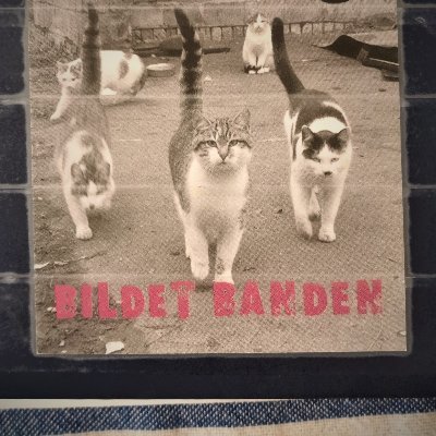 GirrKatja's profile picture. PhD researcher @FU_Berlin. Borders, Migration, Academia and Knowledge Production.