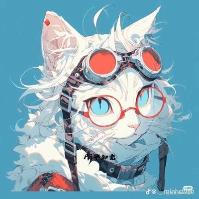 🚫本账号无违反推特规则行为,每日分享视频,视频非原创,如有侵权行为,私信我删除即可。如有问题,请私信联系。
