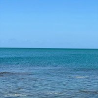 Héctor  (@hectorm8) 's Twitter Profile