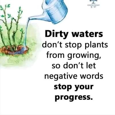 TonShirleen's profile picture. Productive but not destructive