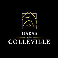 Haras de Colleville(@HarasColleville) 's Twitter Profile Photo